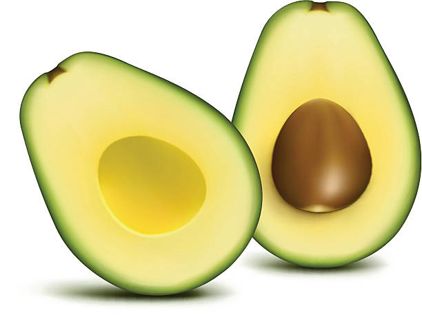 awokado w plasterkach - avocado cross section vegetable seed stock illustrations
