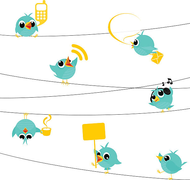 Bird, tweet, bluebird, feed, social media, text, follow, cartoon, minimil http://i681.photobucket.com/albums/vv179/myistock/twit.jpg rss feeds stock illustrations