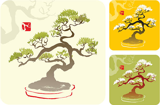 Bonsai Tree Bonsai Tree, Oriental Style Painting bonsai tree stock illustrations