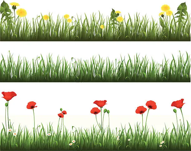 Vector illustration of Collection of grass with dandelions and poppies