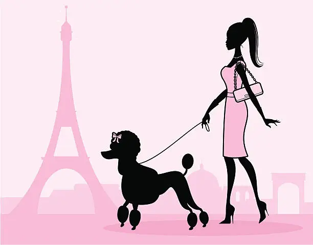 Vector illustration of Girly Poodle Walk