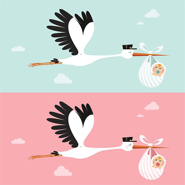 Stork Stork delivering a newborn. Please see some similar pictures in my lightboxs: stork stock illustrations