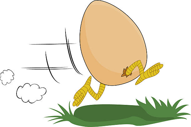 running jaj - chicken eggs animal egg cartoon stock illustrations