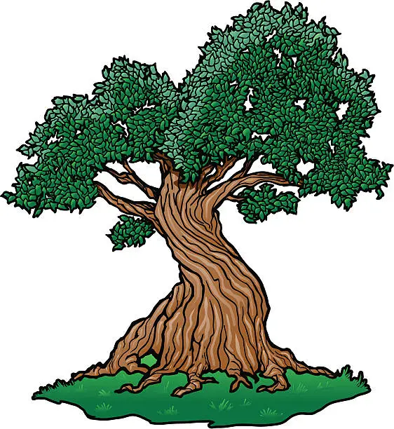 Vector illustration of Twisty Tree