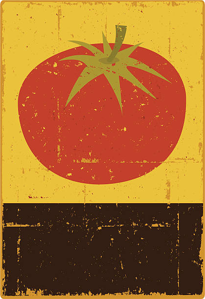 Placa de tomate - ilustração de arte em vetor