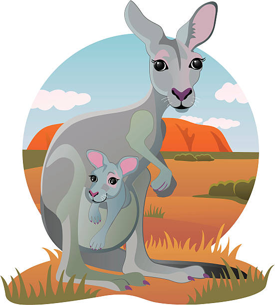Cartoon Kangaroo clip art Clipart for Free Download | FreeImages