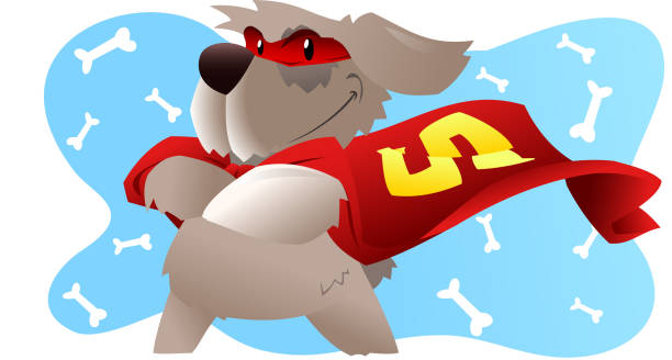 ilustrações de stock, clip art, desenhos animados e ícones de cão super-herói em pé confiante com fantasia de herói - heroes dog pets animal