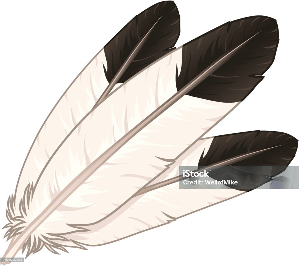 Eagle plumes. - clipart vectoriel de Plume libre de droits