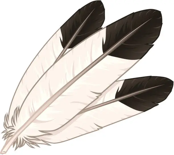 Vector illustration of Eagle Feathers