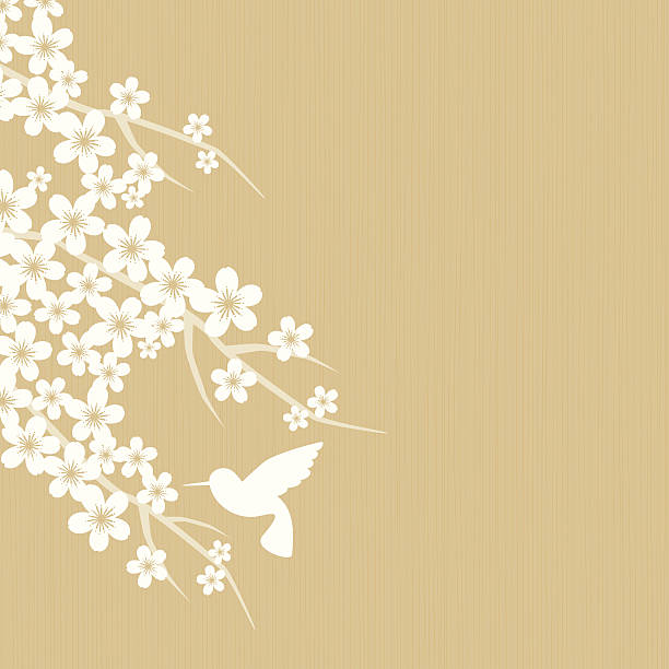 Cherry blossom Neutral background with white silhouette of cherry blossom flowers and flying hummingbird. beige background illustrations stock illustrations