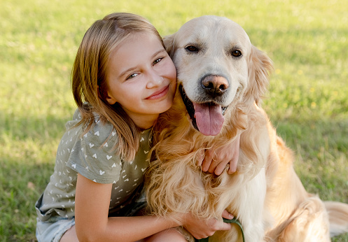 Cute preteen child girl hugging golden retriever dog at nature. Pretty kid with purebred doggy pet labrador at park
