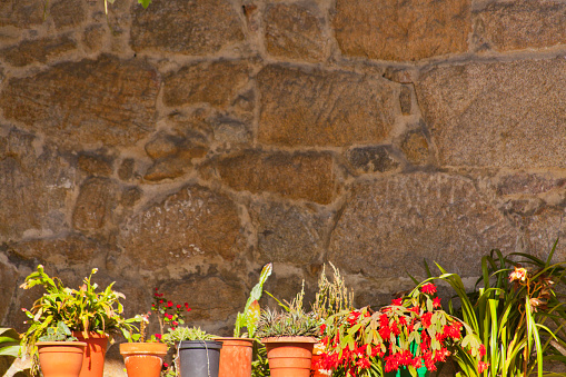 Beautiful  stone wall. Flower pots in a row, stone house, red flowers. Ribeira, Rías Baixas, Galicia, Spain