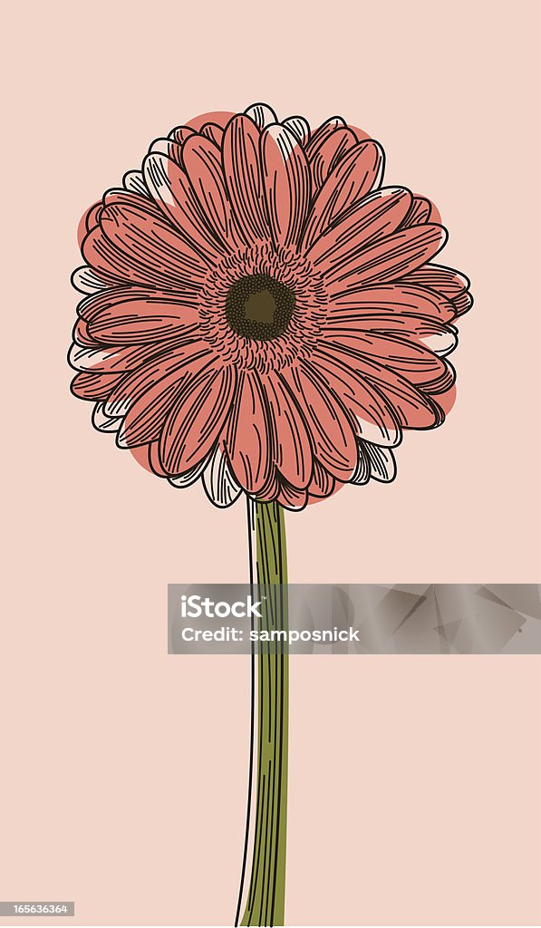 Illustration of a Gerbera daisy on a light pink background  A long-stemmed gerbera daisy, growing up! Flower stock vector
