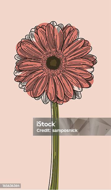 Illustration Of A Gerbera Daisy On A Light Pink Background Stock Illustration - Download Image Now