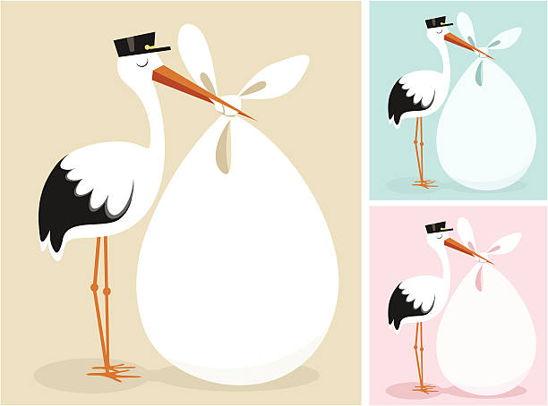 Stork Greeting card for newborns. Please see some similar pictures in my lightboxs: baby shower stock illustrations