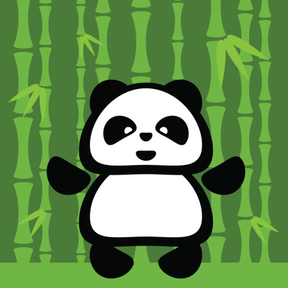 Little panda