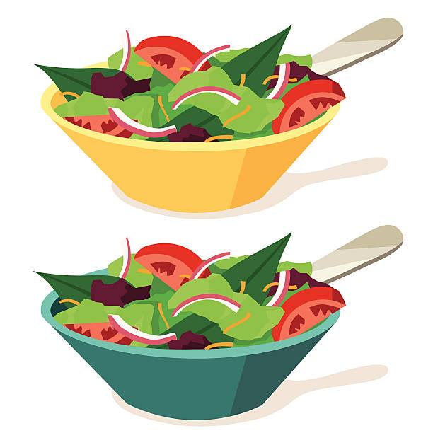 Salads Crisp fresh green salad in 2 different color bowls. turquois stock illustrations