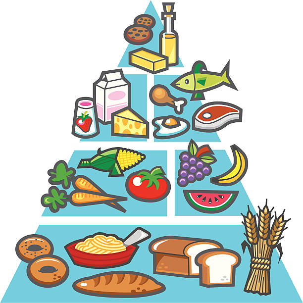 ilustraciones, imágenes clip art, dibujos animados e iconos de stock de nutrition diagrama de - food pyramid food healthy eating spaghetti