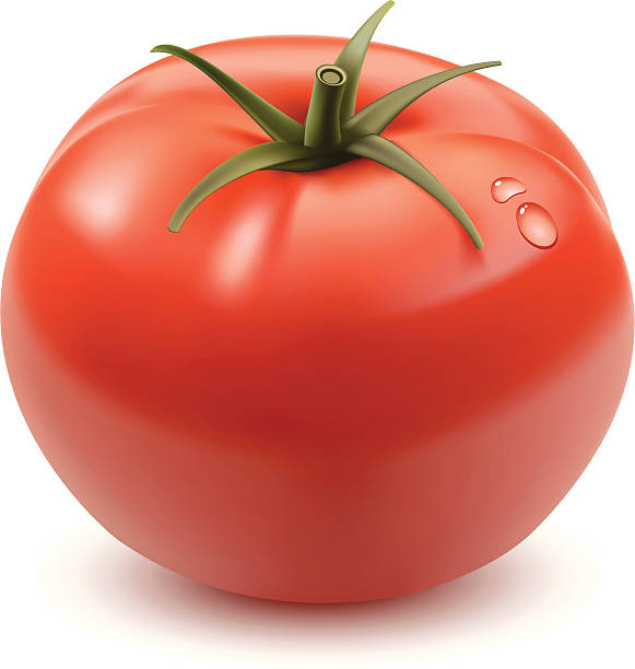 pomidor - tomato isolated freshness white background stock illustrations