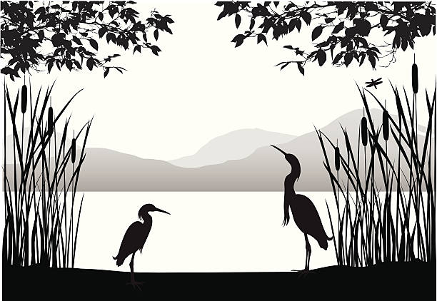 Herons' Habitat Vector Silhouette A-Digit nature silhouettes stock illustrations