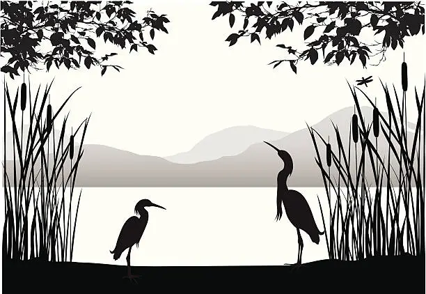 Vector illustration of Herons' Habitat Vector Silhouette
