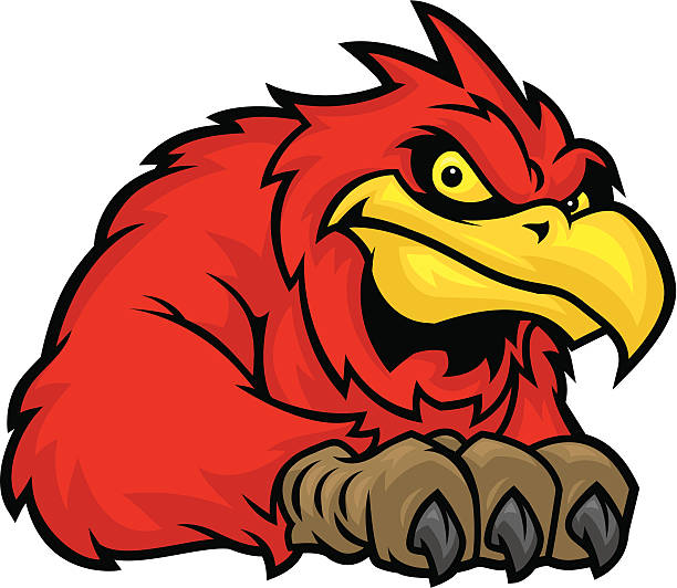 Cardinal Mascot A Cardinal mascot with a confident grimace. This file also comes with a black and white zip file. cardinal mascot stock illustrations