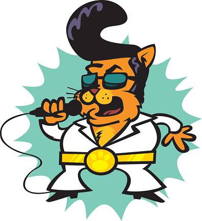 cartoon cat singing karaoke in 70s disco clothes