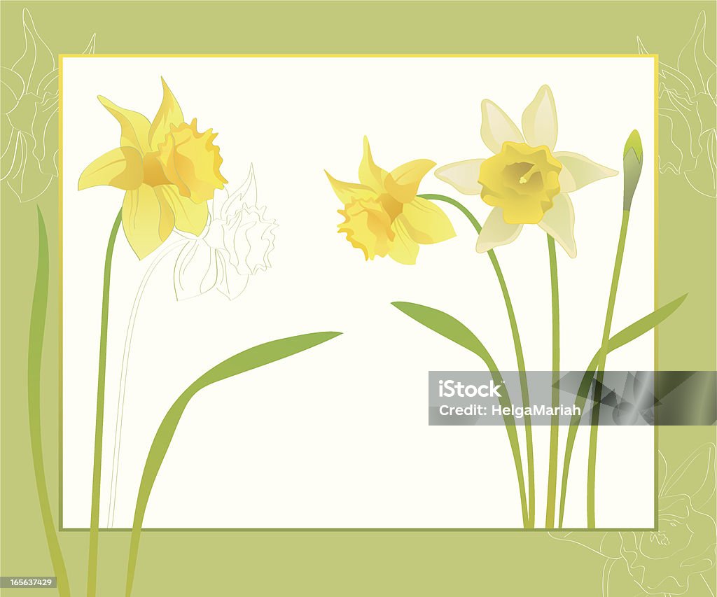 Telaio di fiore primavera fiori Daffodils - arte vettoriale royalty-free di Narciso - Liliacee