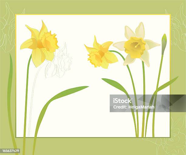 Telaio Di Fiore Primavera Fiori Daffodils - Immagini vettoriali stock e altre immagini di Narciso - Liliacee - Narciso - Liliacee, Dipinto ad acquerelli, Fiore