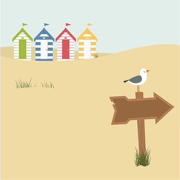 Digital illustration of several houses and a wood sign Beach huts and seagull on the beach. Please see some similar pictures in my lightboxs: beach hut stock illustrations