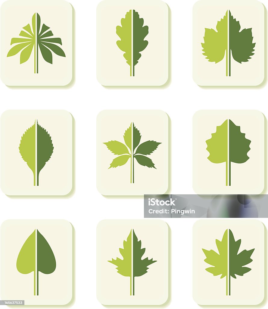 Icônes de feuilles - clipart vectoriel de Feuille de chêne - Feuille libre de droits