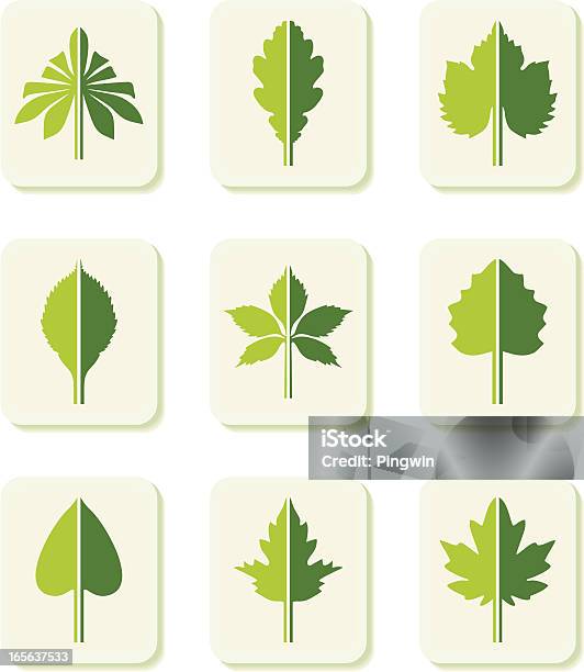 Icônes De Feuilles Vecteurs libres de droits et plus d'images vectorielles de Feuille de chêne - Feuille - Feuille de chêne - Feuille, Vectoriel, Feuille de tremble