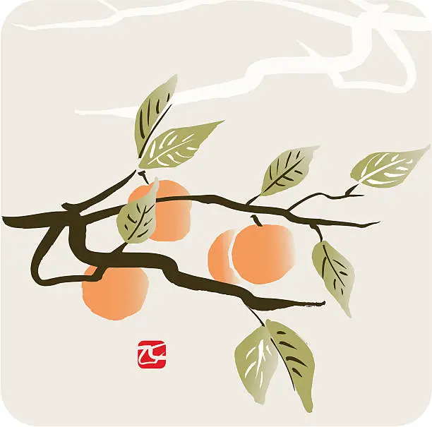 Vector illustration of Apricot Branch