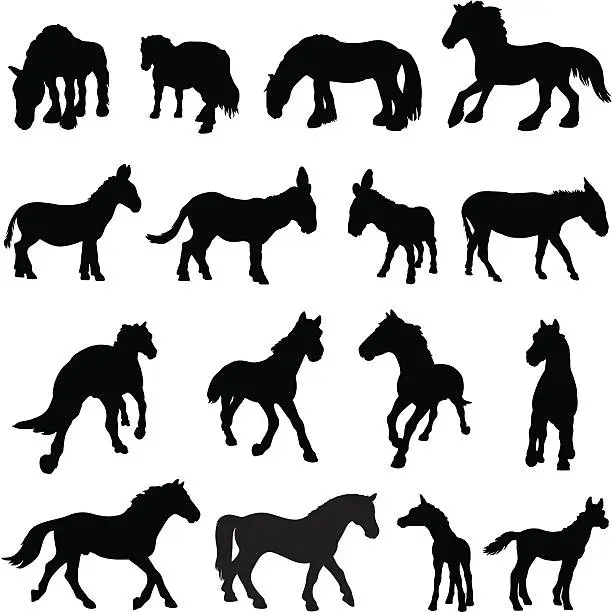 Vector illustration of Horse, donkey and pony silhouettes