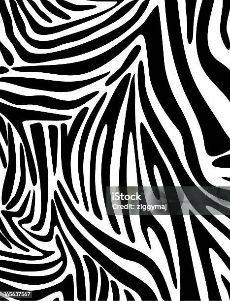 Padrão De Pele De Zebra - Arte vetorial de stock e mais imagens de Marca de Zebra - Marca de Zebra, Estampa de Animal, Plano de Fundo