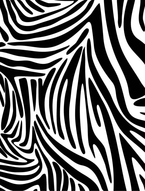 Vector illustration of Zebra Skin Pattern