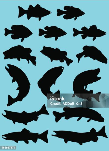 Sport Fish Silhouette Stock Illustration - Download Image Now - Fish, Salmon - Animal, Vector