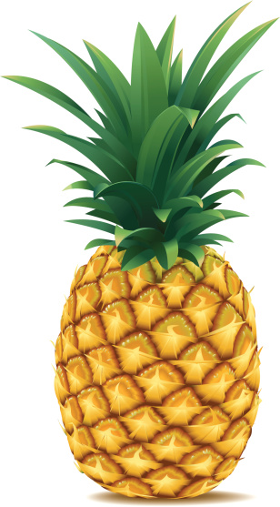 Vector illustration of a ripe pineapple. High-res. JPG (3500 px high) and Print-PDF included. Done with simple gradients and blends. NO MESH-GRADIENTS used.