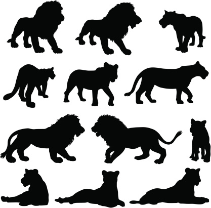 Silhouettes of lions.