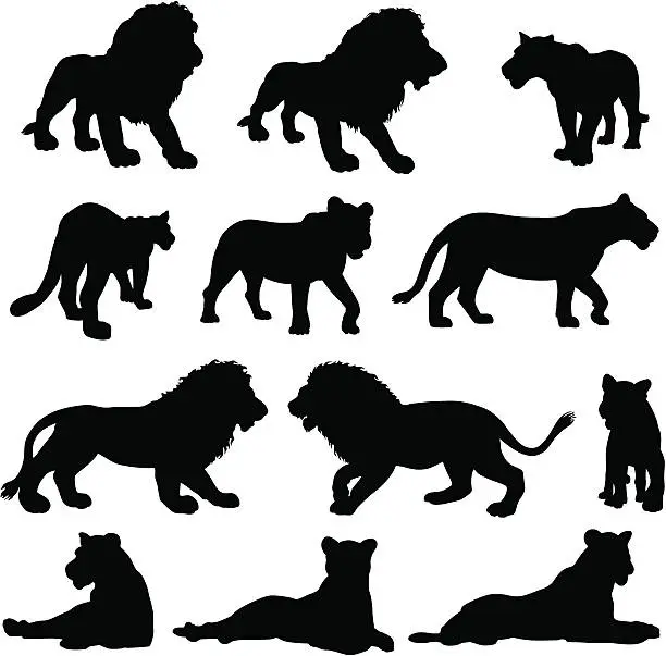Vector illustration of Silhouettes of lions