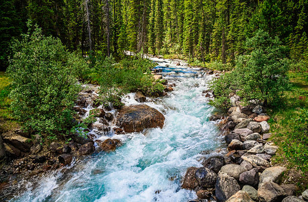 rushing mountain stream green summertime rushing mountain stream in Banff National Park, Alberta, Canada rapids river stock pictures, royalty-free photos & images