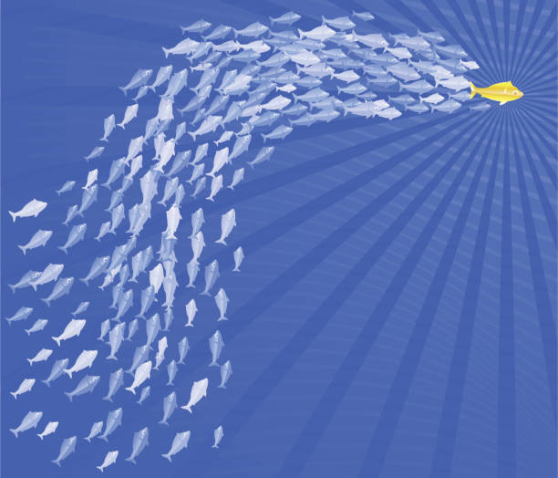 Follow the leader A school of fish following their golden leader. Vector illustration with copy space. follow up stock illustrations