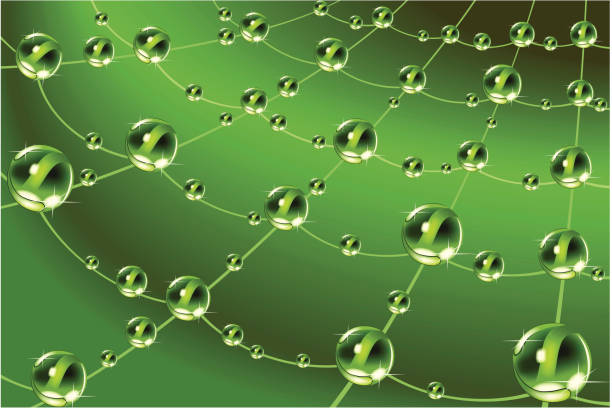Spoad Web 24,800+ Spider Web With Dew Drops Stock Photos, Pictures & Royalty-Free ...