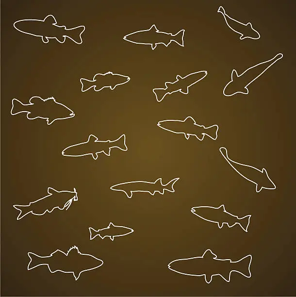 Vector illustration of Variety of Freshwater Fish