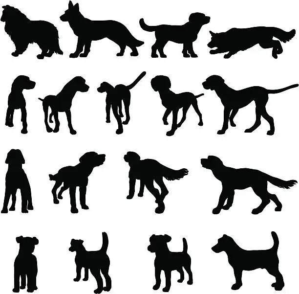 Vector illustration of Dog breed silhouettes