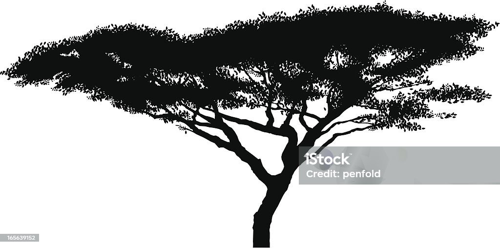 African acacia silhouette - clipart vectoriel de Acacia libre de droits