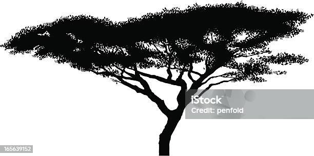 African Acacia Silhouette Vecteurs libres de droits et plus d'images vectorielles de Acacia - Acacia, Arbre, Afrique