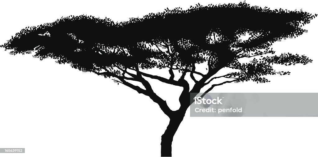 African acacia tree silhouette A flat-topped acacia tree from the Serengeti in Tanzania (Acacia abyssinica). Acacia Tree stock vector