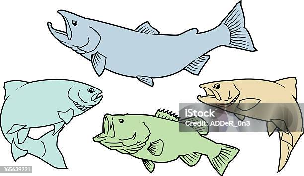 연어 송어 중저음 연어-동물에 대한 스톡 벡터 아트 및 기타 이미지 - 연어-동물, 무지개송어, 브라운송어