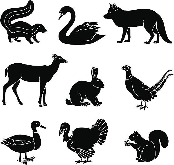 country animals Vector illustrations of country animals. doe deer silhouette stock illustrations